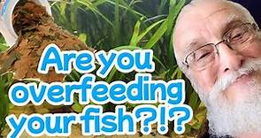 Food for Fish | 7 Rules for Feeding Your Fish