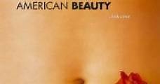 Belleza americana (1999) Online - Película Completa en Español - FULLTV