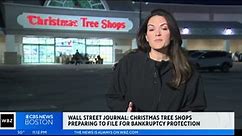 WSJ: Christmas Tree Shops preparing to file for bankruptcy protection