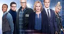 CSI: Cyber - Ver la serie online completas en español