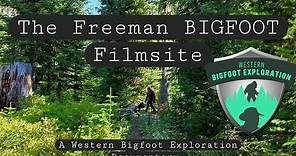 The Freeman BIGFOOT Film Site