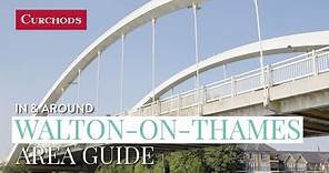 In and Around Walton-On-Thames - Area Guide