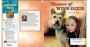 Because of Winn Dixie Video 3 Practice Plot Character Setting