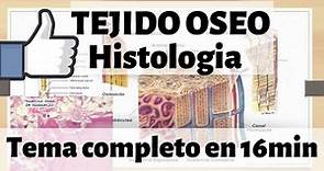 TEJIDO ÓSEO Histologia : hueso esponjoso y compacto MEJOR EXPLICADO