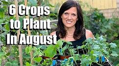 6 Crops to Plant in August for Late Summer Harvest 🌿🍅🥒