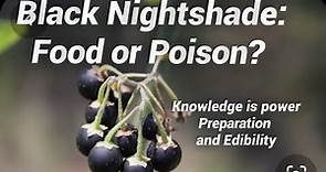 Solanum nigrum and the Power of Botanical Literacy and Food Preparation