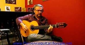 Juan Ramón Caro plays the José López Bellido 1997 flamenco guitar for sale