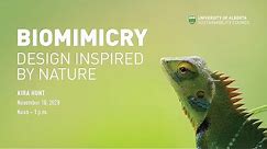 Biomimicry: Design Inspired by Nature