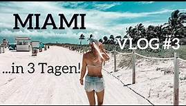 Miami Sehenswürdigkeiten & Highlights | VLOG #3