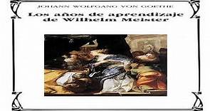 Resumen del libro Los años de aprendizaje de Guillermo Meister (Johann Wolfgang von Goethe)