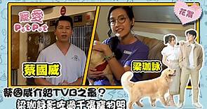 【 寵愛Pet Pet 】寵物診所職員介紹篇 蔡國威介紹TVB之最 梁珈詠影咗過千張寵物照