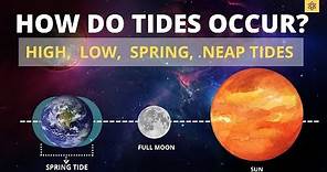 How Do Tides Occur? Low tide, High Tide, Spring Tide, Neap Tide
