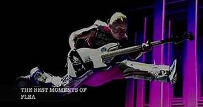 FLEA (RHCP) -The Best Moments ;)