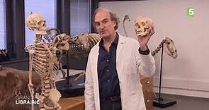 Leçon de paléontologie avec Michel Vuillermoz