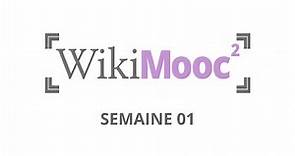 WikiMOOC #2 : Wikipédia, historique et fonctionnement (1.1-B)