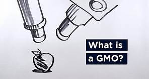 What are GMOs? A Primer for FDA and USDA Labeling | UConn
