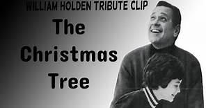 William Holden Tribute : The Christmas Tree-1969