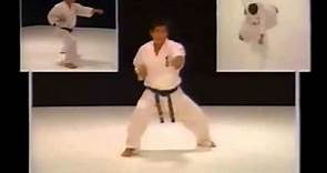 Kyokushin Karate Bible HD.wmv