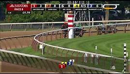 Imperial Hint - 2018 - The Alfred G Vanderbilt Handicap