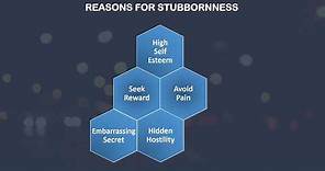 Why People are Stubborn?