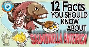 Salmonella Enterica: 12 Facts you Won't Forget (Step 1, COMLEX, NCLEX®, PANCE, AANP)