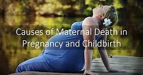 Causes of Maternal Death in Pregnancy and Childbirth | DiseaseFix