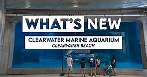 What's New: Clearwater Marine Aquarium
