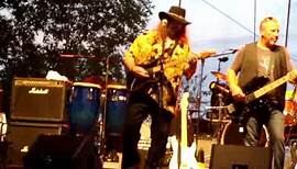 Randall Hall from Lynyrd Skynyrd performs "Sweet Home Alabama" at Hastings Music Fest