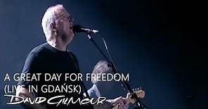 David Gilmour - A Great Day For Freedom (Live In Gdańsk)