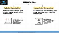 What Are Disaccharides?