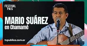 Mario Suárez en Chamamé - Festival País 2024