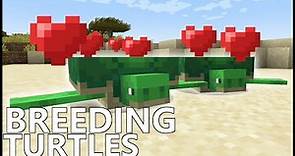 How To BREED TURTLES In MINECRAFT