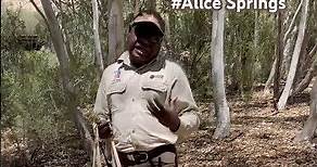 ALICE SPRINGS Australia 🌏 An ABORIGINAL FIRST NATION tour guide explains #bush medicine #shorts