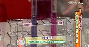 【生活裡的科學】20150611 - 紅得發紫花青素