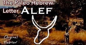1. Alef | Introduction to the Paleo Hebrew Alphabet