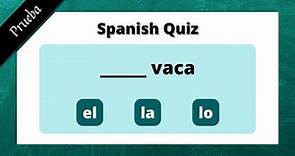 Spanish Quiz for Beginners | Nouns and Articles