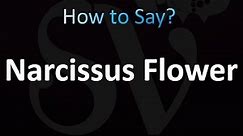 How to Pronounce Narcissus Flower