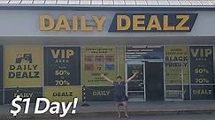 Checking Out A HUGE Local Bin Store | Daily Dealz | $1 Day!