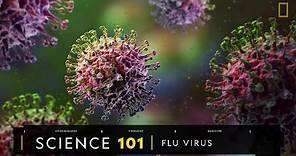 101科學教室：流感病毒《國家地理》雜誌