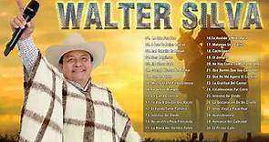 Walter Silva 30 Grandes Exitos - Lo Mejor De Walter Silva - Música Llanera