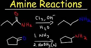 Amine Synthesis Reactions