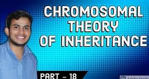 CHROMOSOMAL THEORY OF INHERITANCE | WALTER SUTTON | THEODOR BOVERI | 12TH BIO