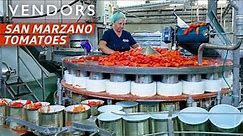 How San Marzano Became the Most Popular Tomato in the World — Vendors