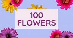 100 Flowers Name: Different Types of Flowers of the world