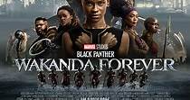 Black Panther: Wakanda Forever - Film (2022)