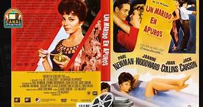 Un marido en apuros (1958) FULL HD. Paul Newman, Joanne Woodward