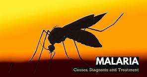 What is Malaria, Causes, Signs and Symptoms, Diagnosis and Treatment.