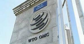 ¿Para qué sirve la OMC?
