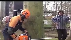 Cutting a tree with skills