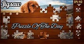 Jigsaw Puzzle Of The Day - (Level 1 Complete) Android Gameplay #1